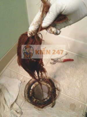 Tóc là nguyên nhân chủ chốt dẫn đến tắc cống nhà tắm