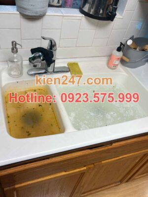 Dấu hiệu cần gọi thông tắc cống tại Thái Nguyên xử lý ngay