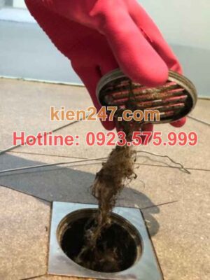 Nguyên nhân phổ biến gây tắc cống tại Thái Nguyên