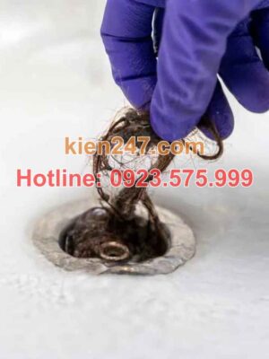 Nguyên nhân thường gặp gây tắc cống tại Sóc Sơn
