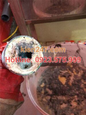 Dầu mỡ là nguyên nhân gây tắc cống phổ biến