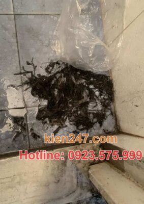 Những nguyên nhân dẫn đến tình trạng tắc cống tại Hòa Bình