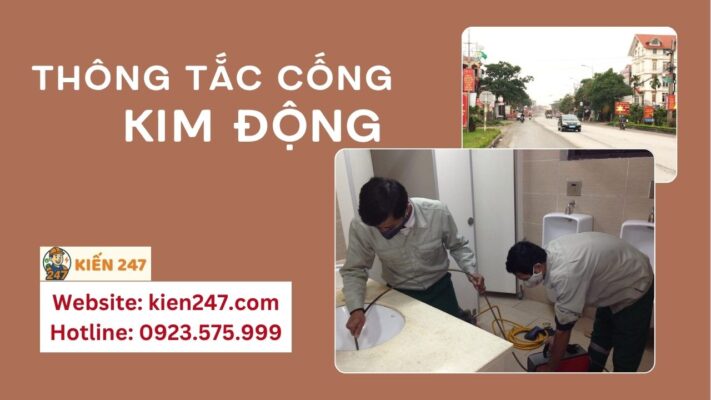 Thông tắc cống tại Kim Động