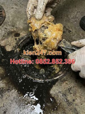 Cống thoát nước bị tắc nghẽn do mỡ đóng cục