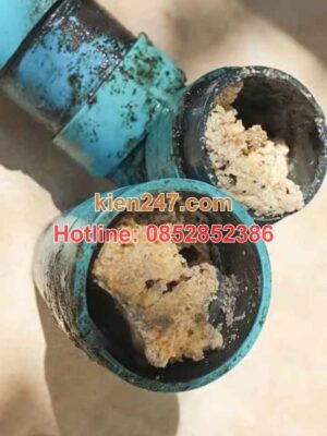Dầu mỡ là nguyên nhân chính gây tắc cống