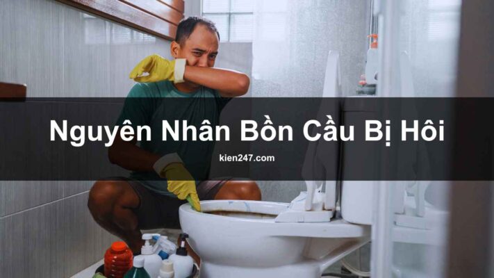 nguyên nhân bồn cầu bị hôi