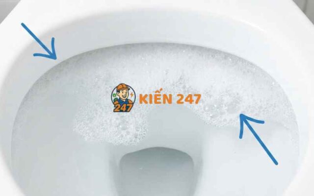 dấu hiệu bồn cầu thoát nước chậm sủi bọt