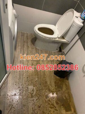 Tràn nước bồn cầu là biểu hiện cần gọi dịch vụ hút bể phốt tại cầu giấy