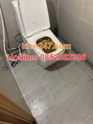 bồn cầu tắc là dấu hiệu báo hiệu cần gọi dịch hút bể phốt tại hoàng mai