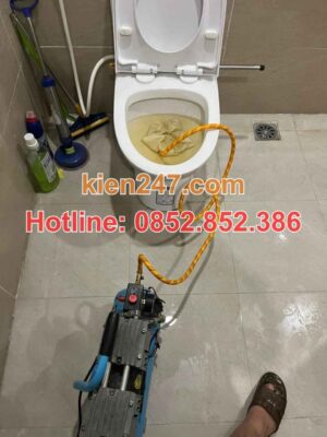 Nước xả xuống chậm là biểu hiện báo hiệu hầm cầu đầy
