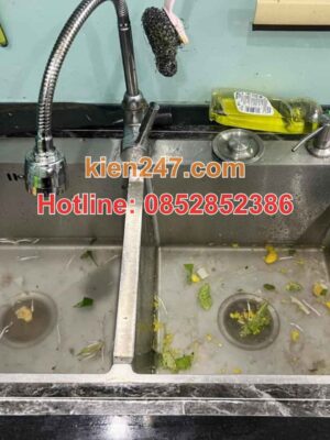 Tắc chậu rửa bát, bồn rửa bát ở Hà Nội – Vì sao nhà nào cũng gặp?