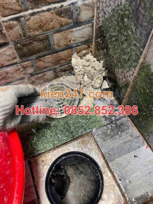 Nguyên nhân gây tắc cống tại quận Nam Từ Liêm