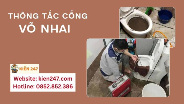 Kiến 247 - Dịch vụ thông tắc cống uy tín tại Võ Nhai