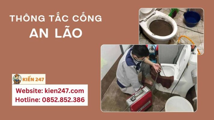 Kiến 247 cung cấp dịch vụ thông tắc cống uy tín tại An Lão