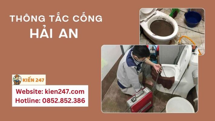 Kiến 247 cung cấp dịch vụ thông tắc cống uy tín, chất lượng tại Hải An