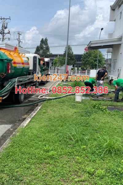 Cây cối phát triển xanh bất thường là dấu hiệu bể phốt đầy