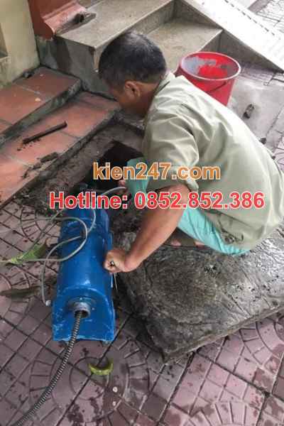 Kiến 247 bố trí các đội thợ ở nhiều điểm tại khu vực Đồng Hỷ