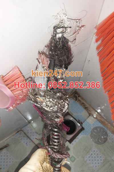 Tóc là một trong những nguyên nhân chính gây tắc cống