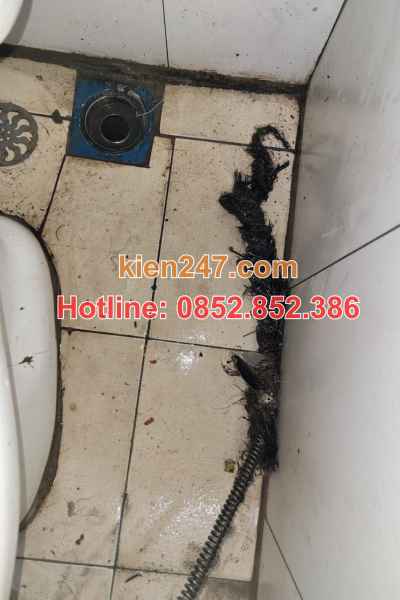 Tóc là nguyên nhân chính gây tắc cống sinh hoạt